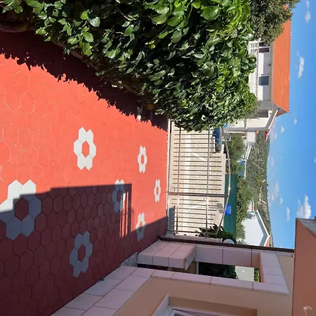 Neda Sibenik